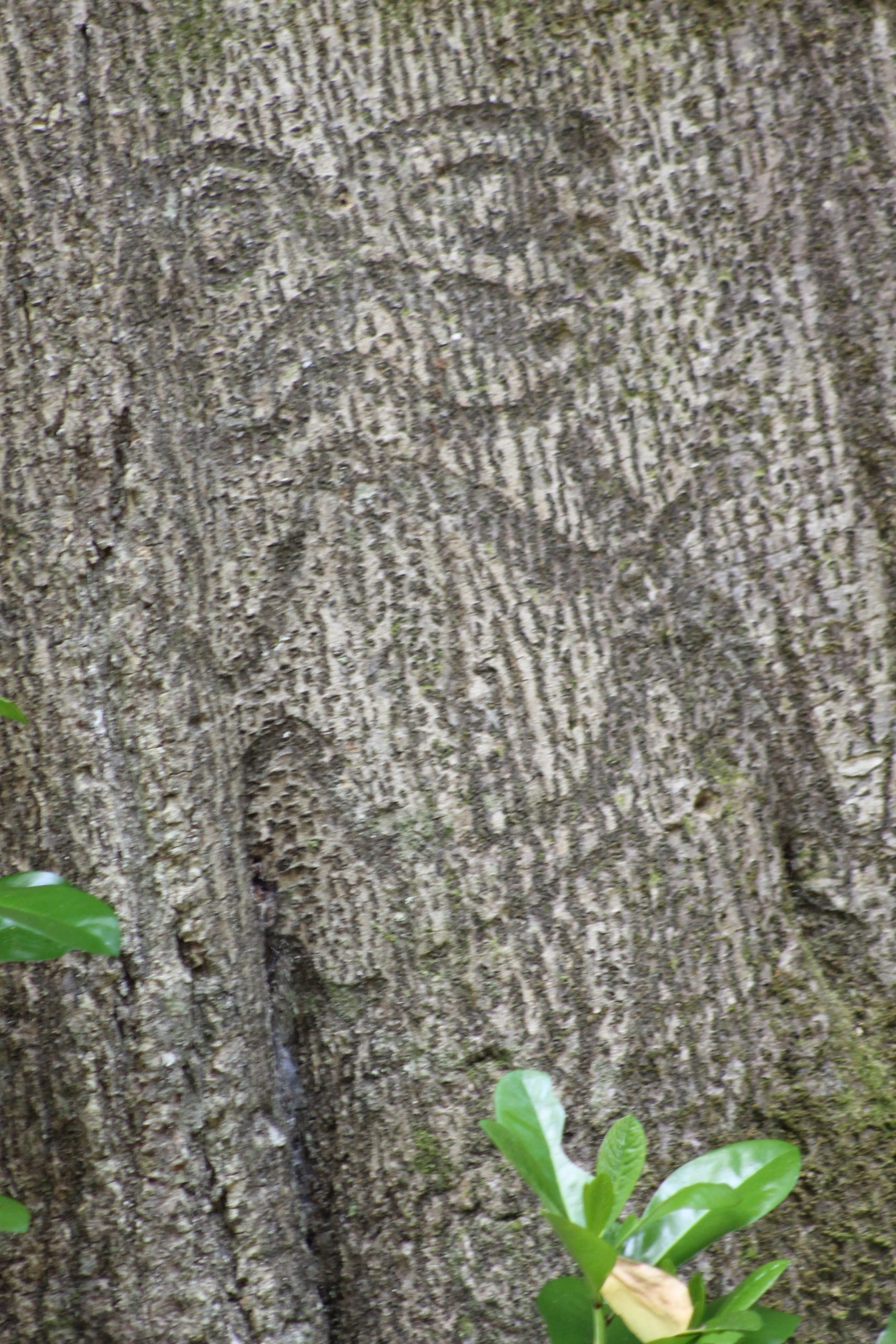 Hāpūpū National Historic Reserve