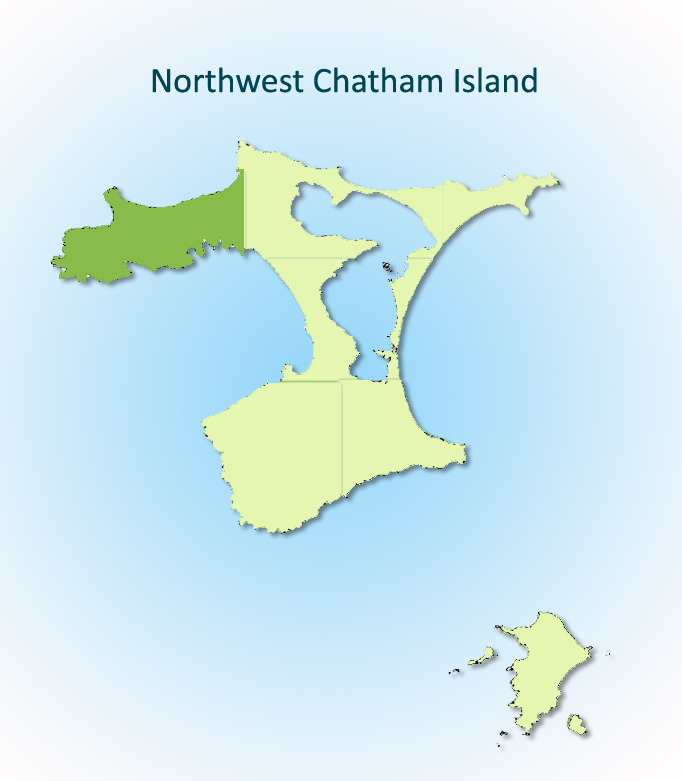 Northwest Chatham Island