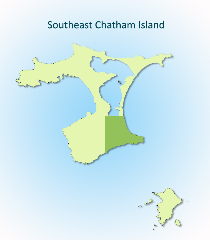 Southeast Chatham Island