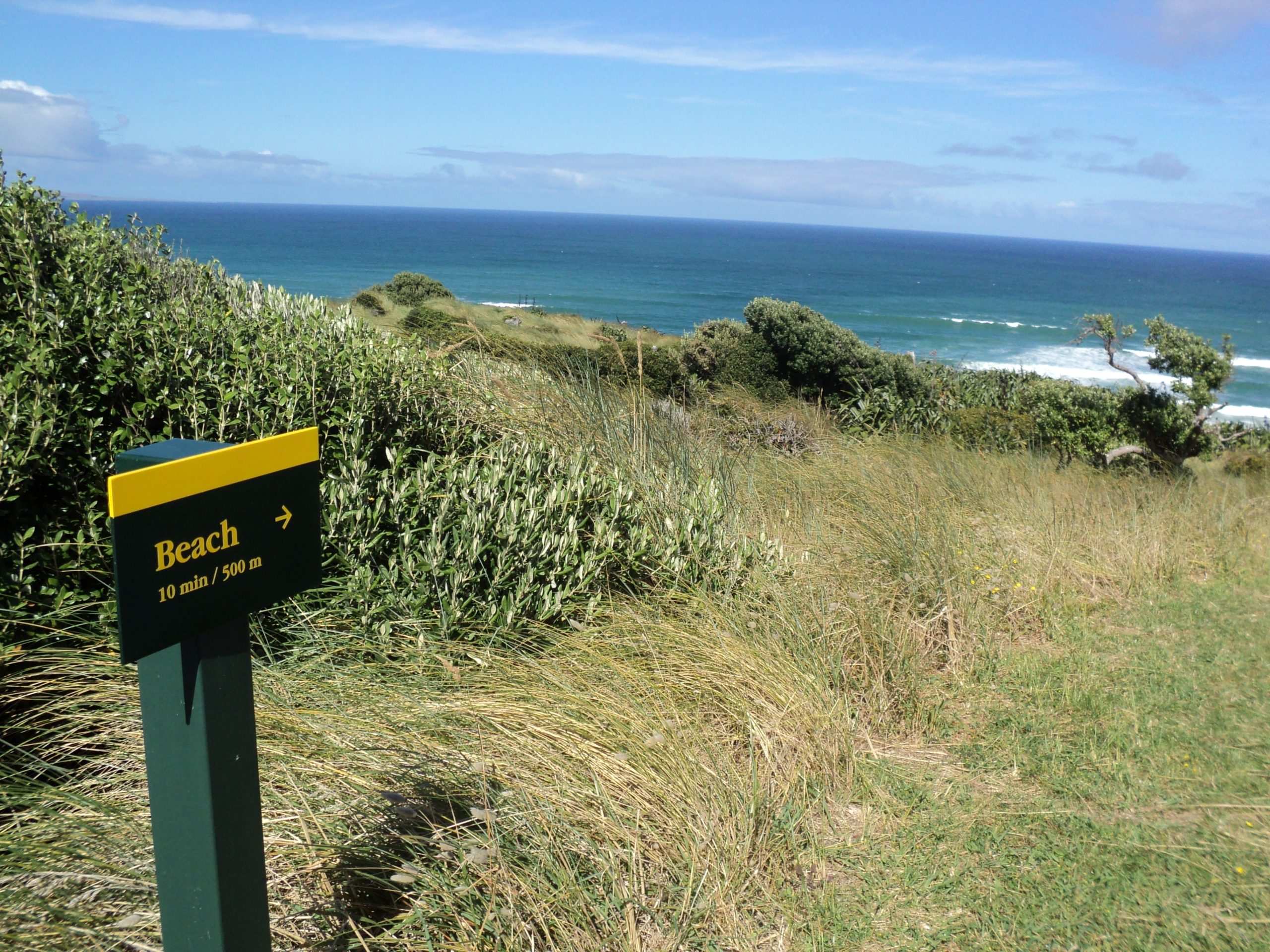 Henga Scenic Reserve