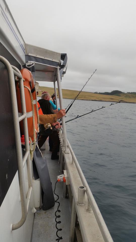 Fishing With Hotel Chatham
