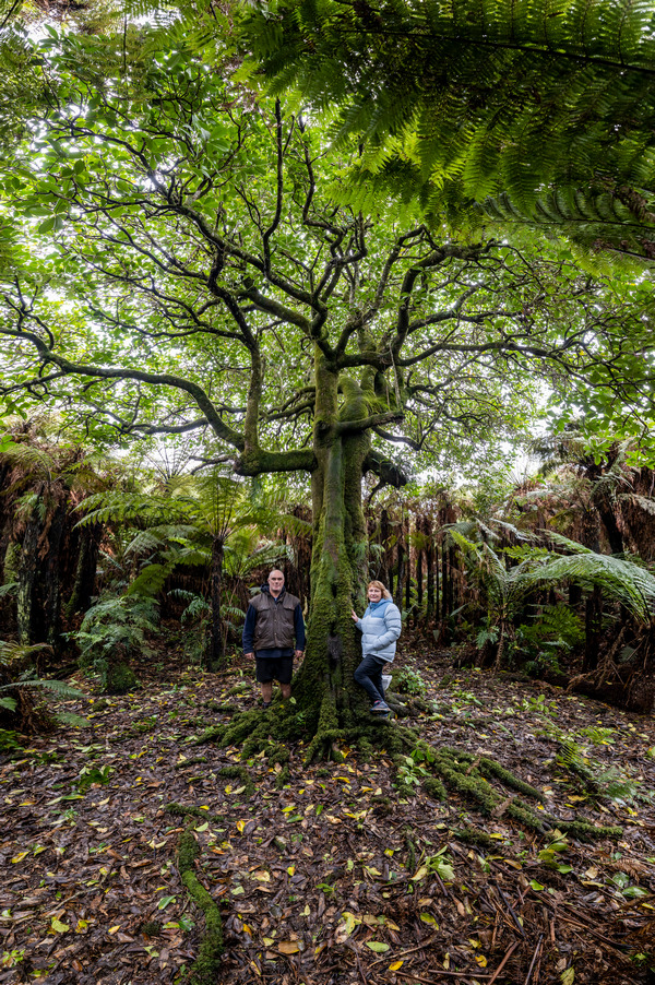 Kopi Farm Bushwalk - The Chatham Islands
