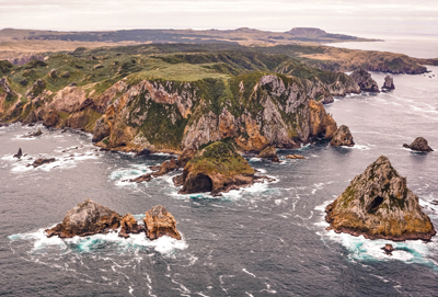 Pitt Island
